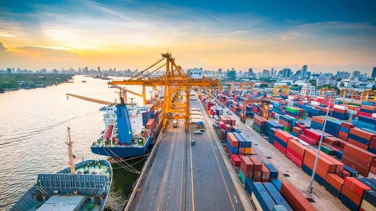 Govt revising foreign investment catalogue to boost processing trade